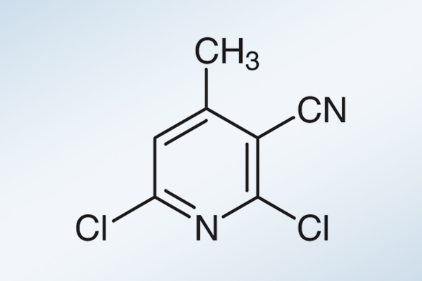 pharma-3-cyano-2-6-dichloro-4-methylpyridine-2
