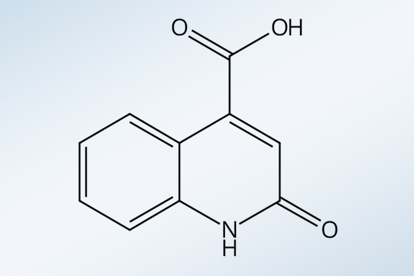 pharma-2-hydroxyquinoline-4-carboxylic-acid