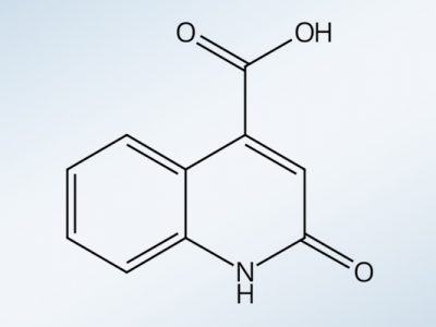 pharma-2-hydroxyquinoline-4-carboxylic-acid