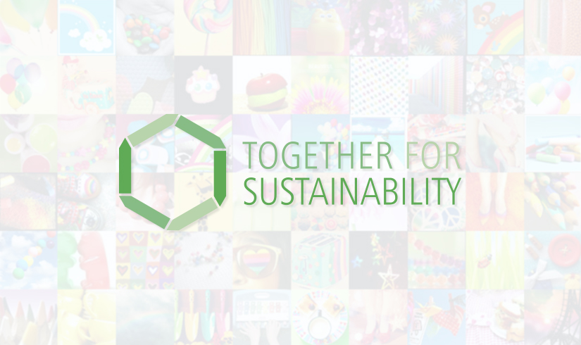 Together-for-Sustainability-tfs-Audit-report