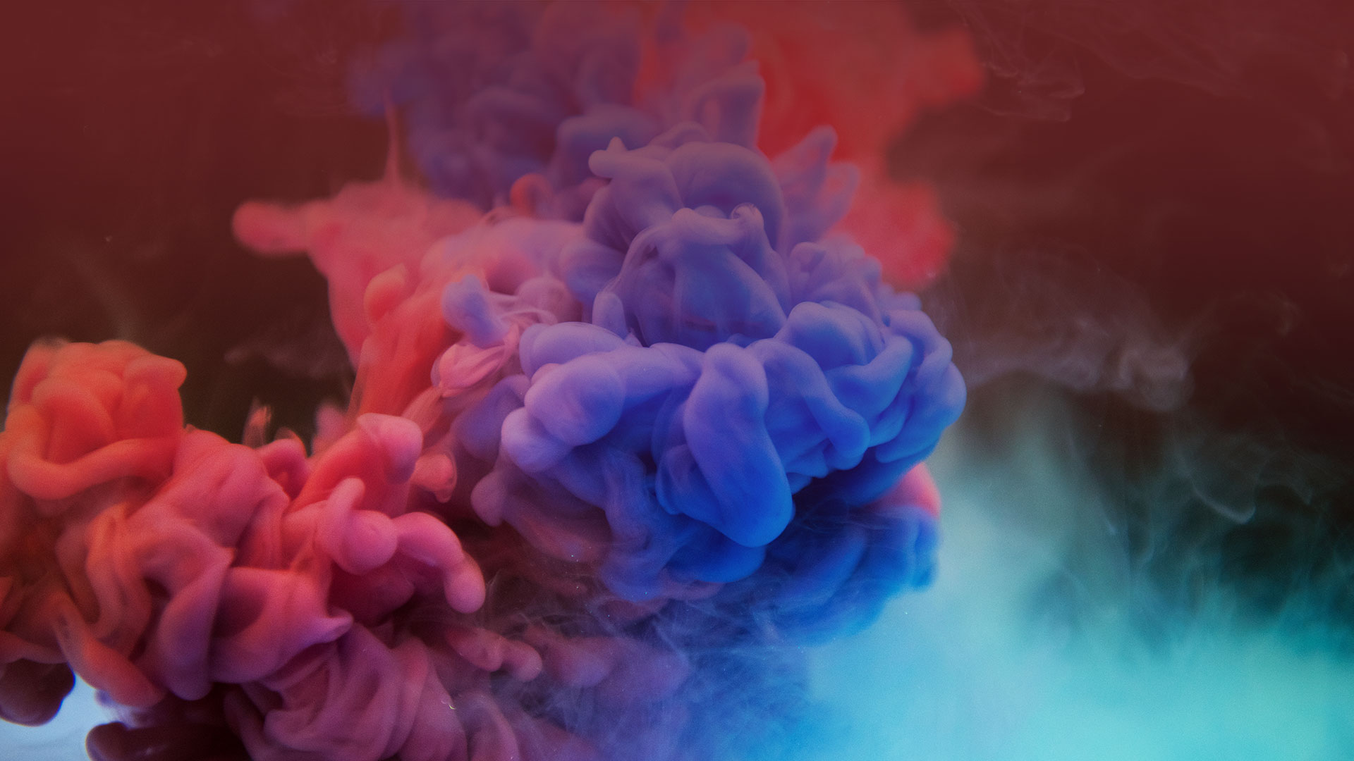 News-and-blog-header