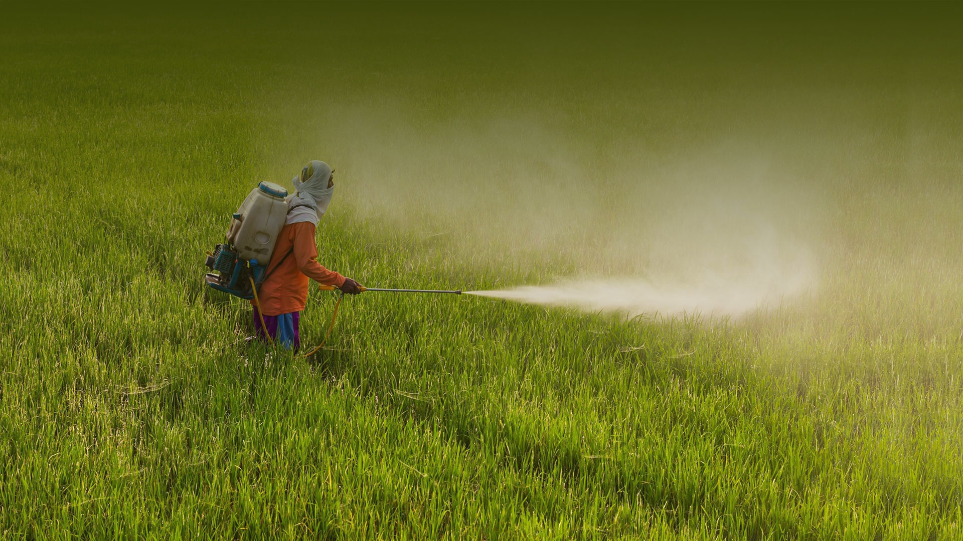 Agro-Intermediates-header